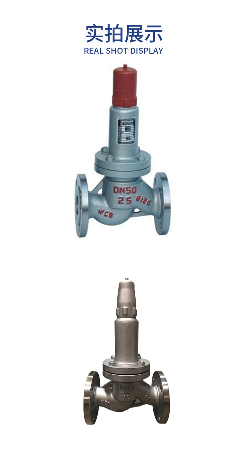 AHN42F Parallel Safety Return Valve