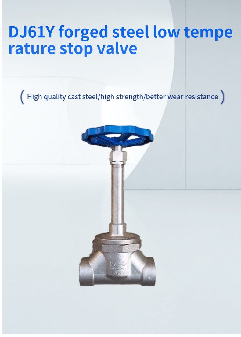DJ61Y forged steel low temperature stop valve