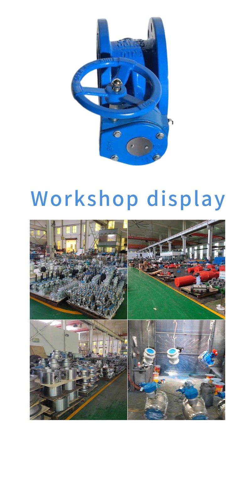SD343 telescopic butterfly valve