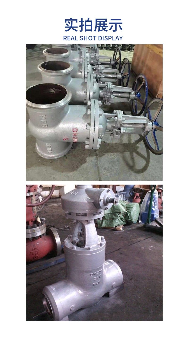 Z61Y power station gate valve